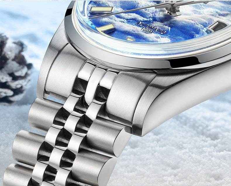 Luminous Mechanical  Men's Waterproof Watch